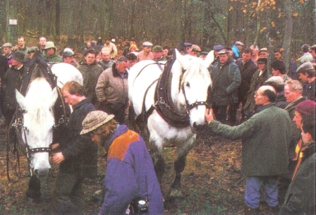 1992 Gloria Friedmann - Die Stellvertreter a